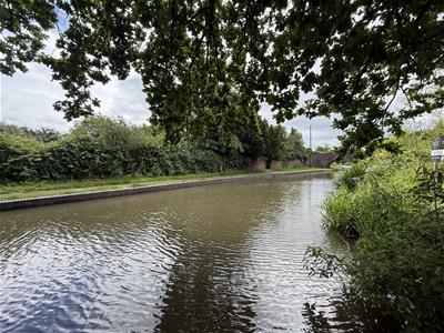 Picture 25